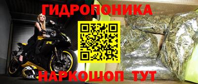 a pvp Рузаевка