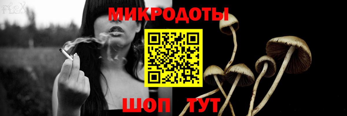 что такое   Галлюциногенные грибы Psilocybe  Вход с VPN  Отрадный 
