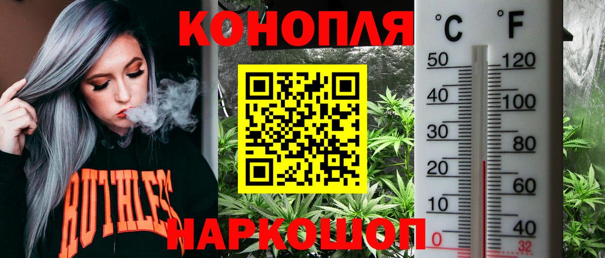 Бошки марихуана White Widow Отрадный